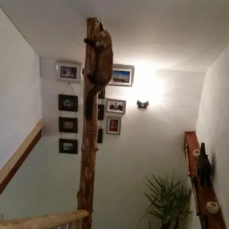 Zum Jaegerstuebchen Tatil Evi Bad Honnef